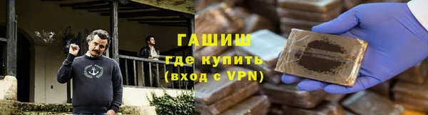 гидра Покачи
