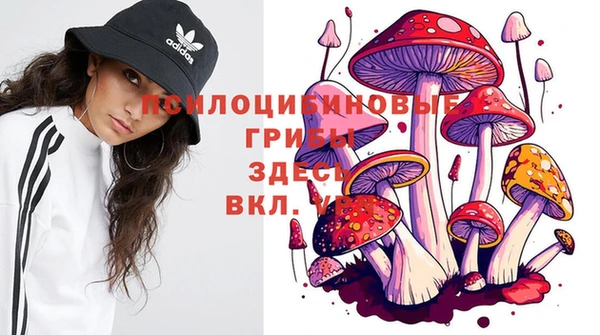 ECSTASY Пересвет