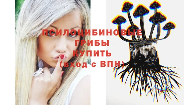 ECSTASY Пестово