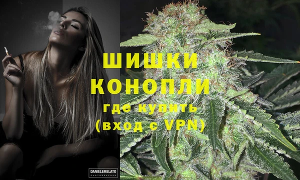 ECSTASY Пестово