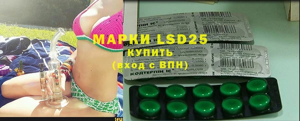 ECSTASY Пересвет
