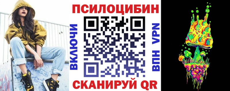 Купить закладки  Сурск  Галлюциногенные грибы Magic Shrooms 