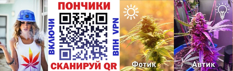 Купить  Сурск  Бошки Шишки гибрид 